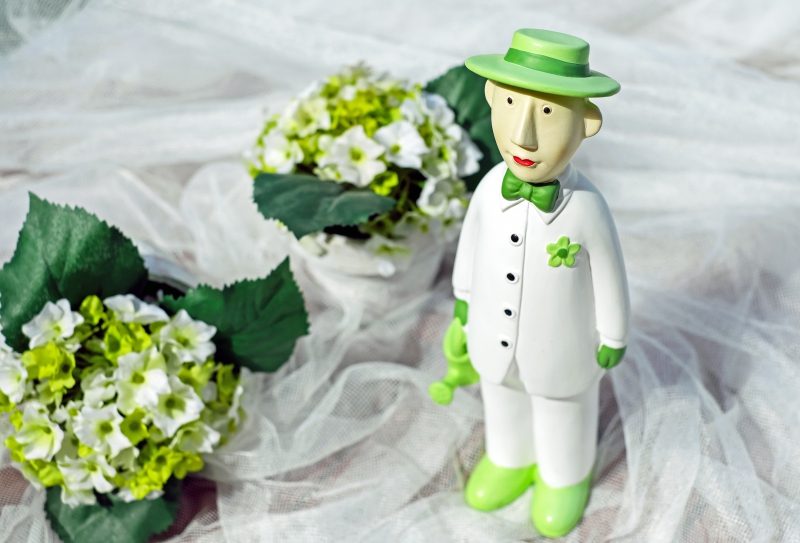 vitrine-BRENON-min_man-person-flower-green-toy-fig-546529-pxhere.com